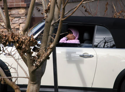 Lynne Spears Lynne Spears